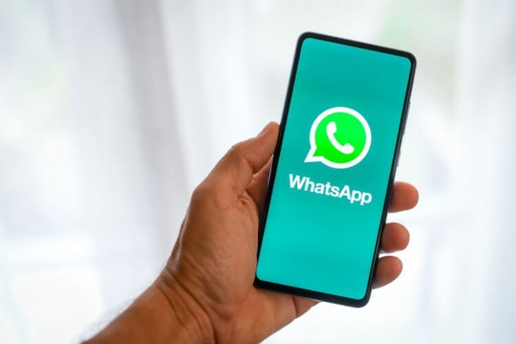 WhatsApp Can Soon Let You Choose Usernames For Your Account! | Times Catalog