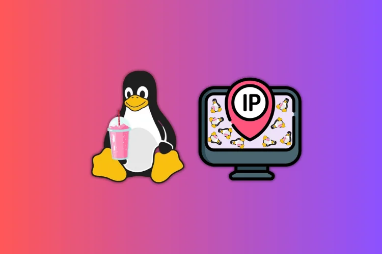 How to Get IP Address in Linux (4 Methods) | Times Catalog