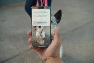 How to use Visual Intelligence, Apple's take on Google Lens