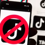 Which countries have banned TikTok and why?