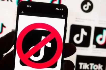 Which countries have banned TikTok and why?