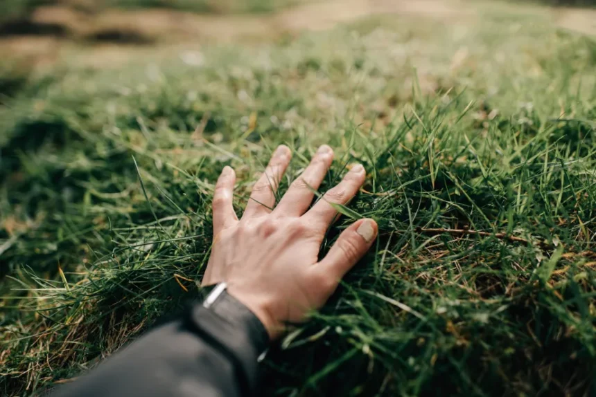 This app limits your screen time by making you literally touch grass