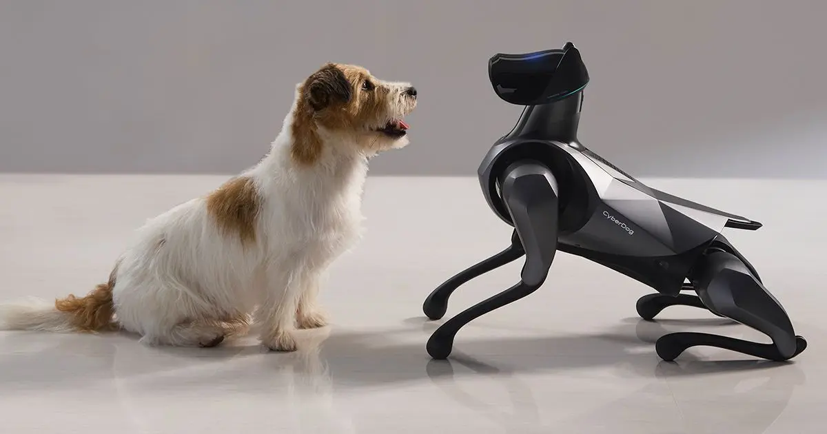 AI-powered robot dog is learning to 'live' like a human